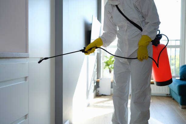 Best DIY Mold Remediation Support Services in Bethel, AK